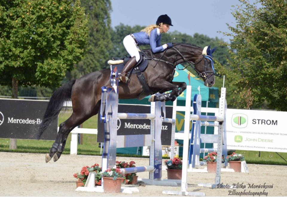 Parkurové skákání je jezdecký sport, ve kterém se jezdec na koni snaží v co nejkratším čase a s co nejmenším počtem chyb projet trasu s překážkami.