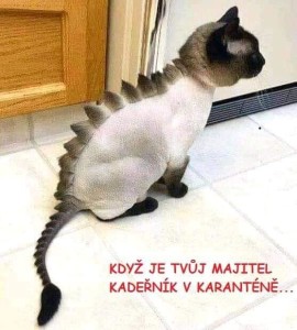 kadeřník v karanténě