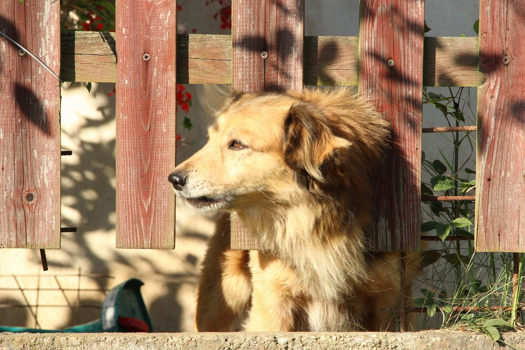 ESPI Europe s.r.o. , Praha IČO 08637881