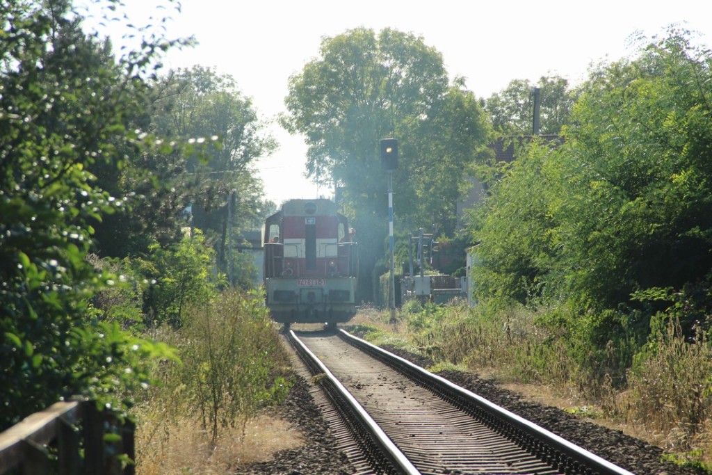 IMG_1463