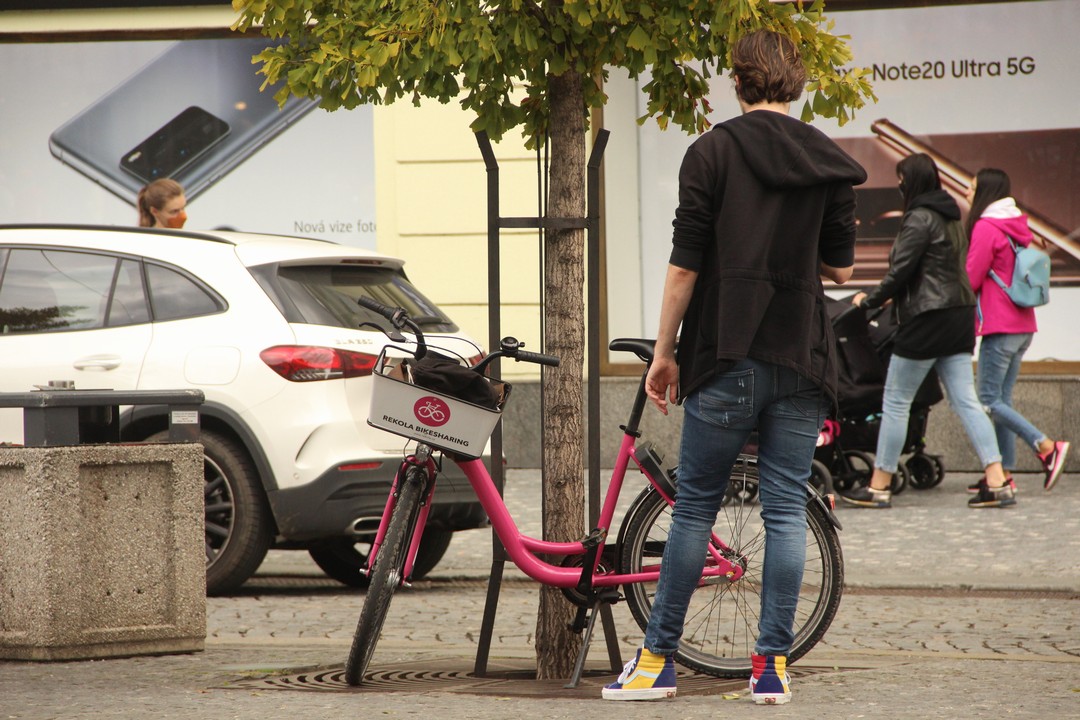 Společnost E / Czech Epilepsy Association, z. s. , Praha IČO 00552534