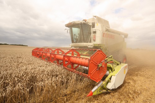 Rusko se tedy v posledních letech stalo světovým vývozcem obilí