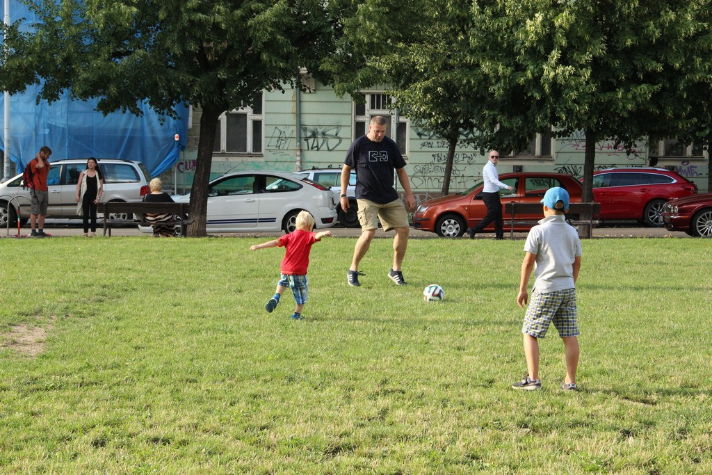 analyzovat více mikrosatelitových lokusů
