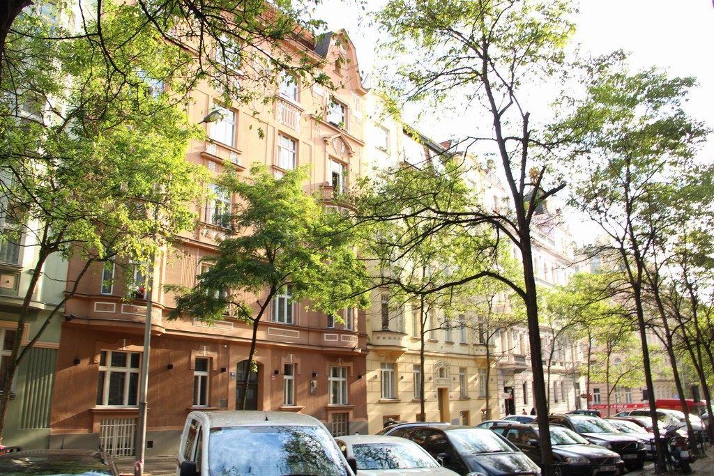 Petr Nováček Identifikační číslo: 46263870