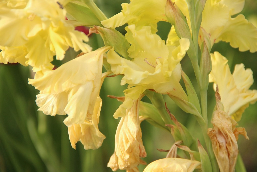 TS-INVEST s.r.o. IČO: 25415999 Štiplova 2679/4, Praha Dejvice