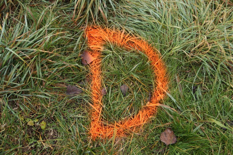 Marpestr s.r.o. , Praha IČO 21886920