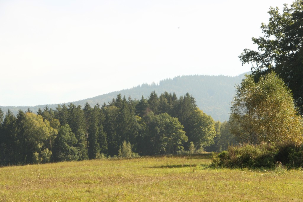 Pavel Kučera Identifikační číslo: 87710901