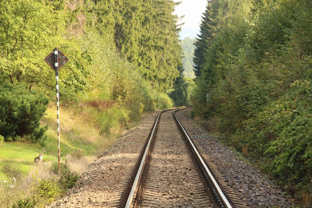 TS-INVEST s.r.o. IČO: 25415999 Štiplova 2679/4, Praha Dejvice