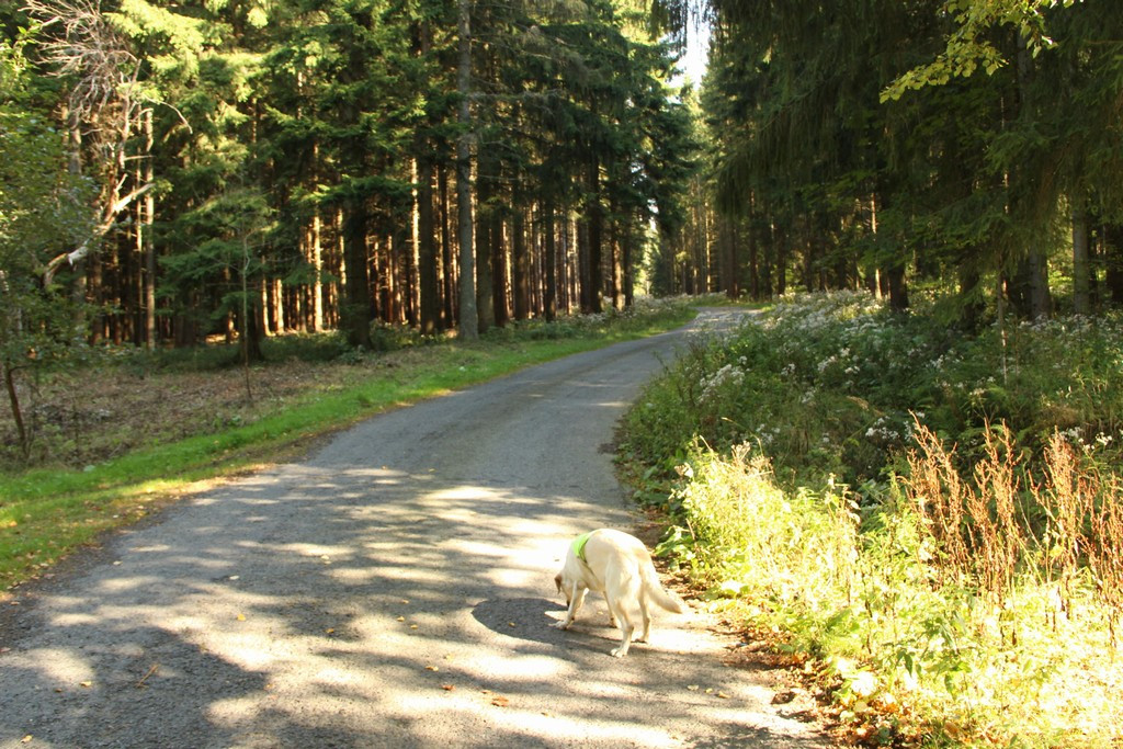Vývoj hospodářství na Slovensku za devět měsíců v roce 2017