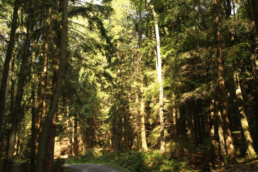 Opatření Slovenské národní banky již částečně ovlivnily vývoj cen bytů a domů na Slovensku