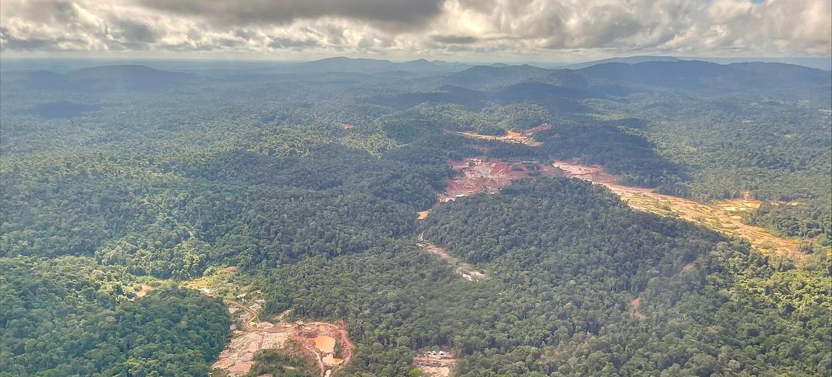 Surinam je nejlesnatější zemí světa, ale jeho nedotčené deštné pralesy ohrožuje mimo jiné těžba zlata, bauxitu a kaolinu.